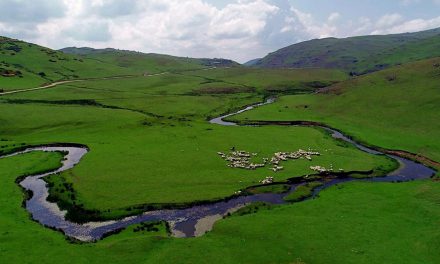 ORDU’DA BİR DOĞA HARİKASI: PERŞEMBE YAYLASI…