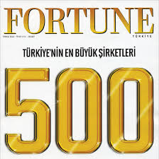 Fortune 500’e hangi Türk şirketleri girdi