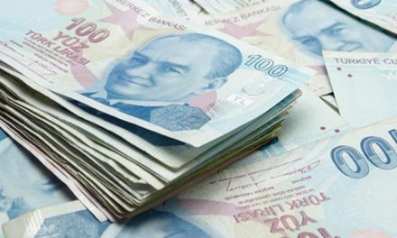 Türk Lirası’ndaki değer kaybı Alman ekonomisi için risk