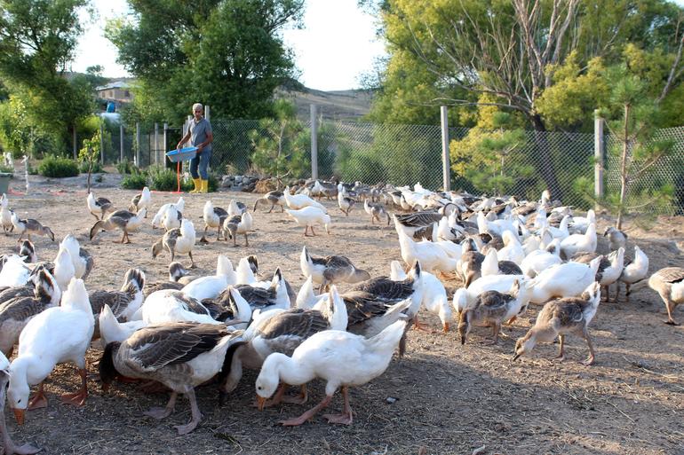 32 yıllık öğretmen… Şehir hayatını bıraktı köye yerleşti! Kendine iş kurdu