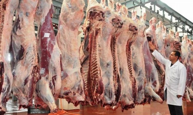 Şarbon Korkusunu da Ranta Çevirdiler: Et Karaborsaya Düştü!