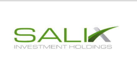 SALİX YATIRIM HOLDİNGE HOLLANDALI ORTAK