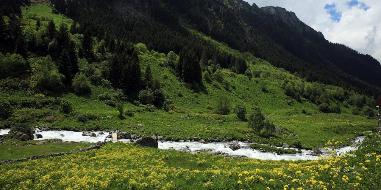 Rize’de 11 Ayder Yaylası daha bulundu!