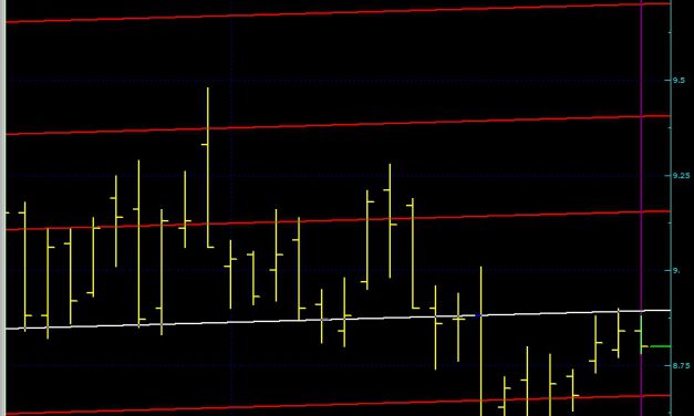 GARANTİ SON DURUM