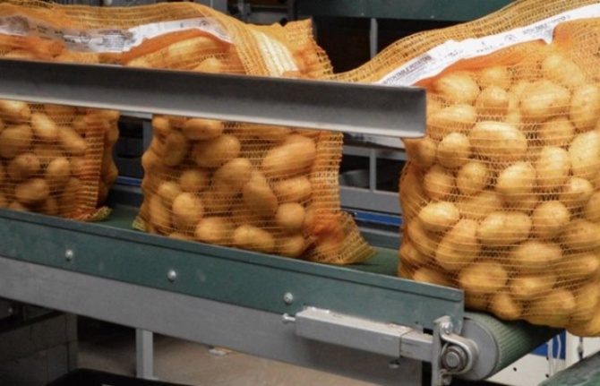 Patates ithalatında vergi kalktı