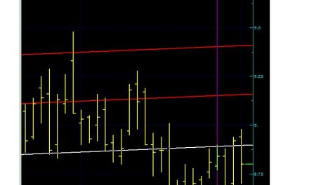 GARANTİ SON DURUM