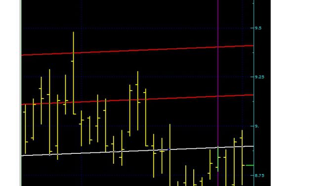 GARANTİ SON DURUM