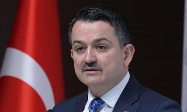 Yerel kalkınmaya 22 milyon euro destek