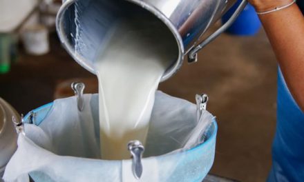 Çiğ süt referans fiyatı 2 lira 30 kuruş olacak