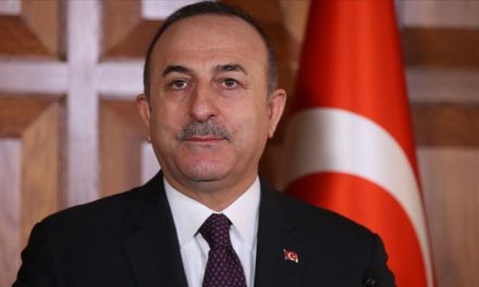 Dışişleri Bakanı Çavuşoğlu: 7 ülkeden 3 bin 358 öğrenci Türkiye’ye getirilerek, karantinaya alınacak