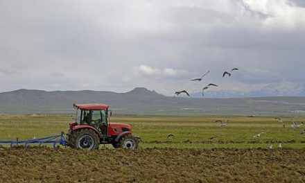 Bakanlıktan tarladaki çiftçiye Kovid-19 uyarısı
