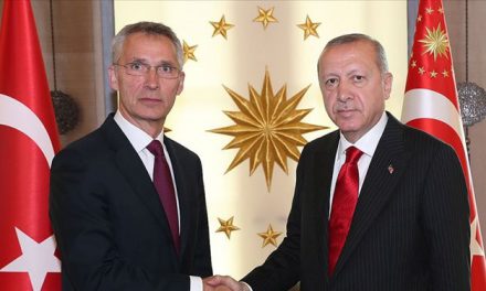 Cumhurbaşkanı Erdoğan, NATO Genel Sekreteri ile telefonda görüştü