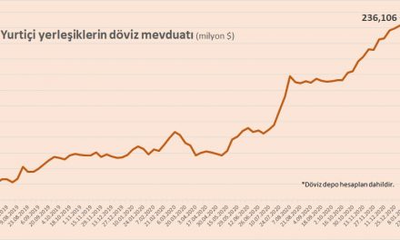 Bankalardaki döviz mevduatı rekor kırdı