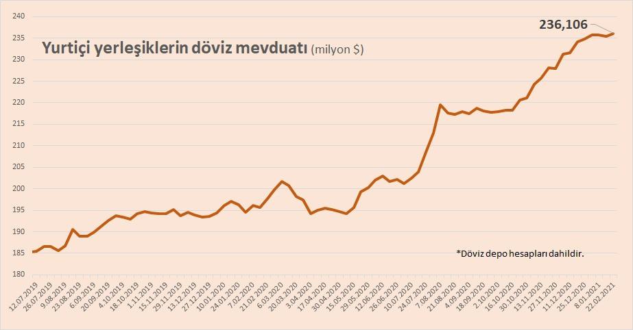 Bankalardaki döviz mevduatı rekor kırdı