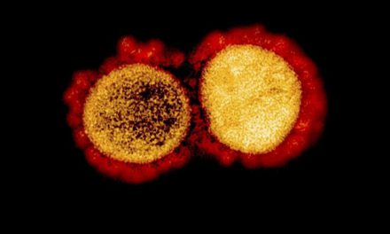 ‘Çift mutant’ corona virüs varyantı ABD’ye sıçradı