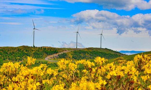 Rüzgardan elektrik üretimi rekor tazeledi