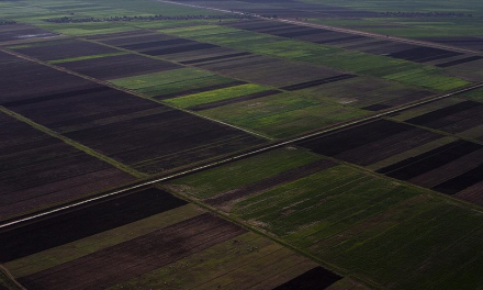 Türk firmaları KOSGEB’in desteğiyle Sudan’da tarımsal potansiyeli güçlendirecek