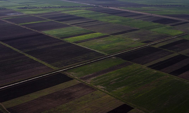 Türk firmaları KOSGEB’in desteğiyle Sudan’da tarımsal potansiyeli güçlendirecek